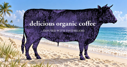 Dreamy Coffee Co. signature purple bull logo with beach scene background in Naples Fl with description "delicious organic coffee...infused with daydreams"